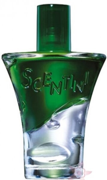 Avon Scentini Nights Emerald Sparkle EDT 30 ml Kadın Parfümü kullananlar yorumlar